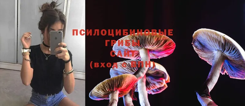 blacksprut зеркало  Данков  мориарти формула  Галлюциногенные грибы MAGIC MUSHROOMS 